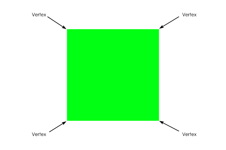 A square has 4 vertices